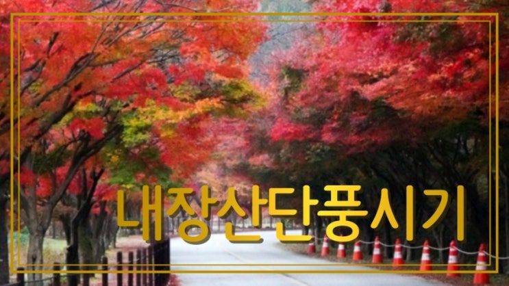  내장산단풍시기 내장산 단풍절정