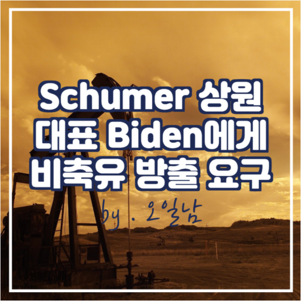  Schumer 상원 원내대표 Biden에게  전략 비축유 방출 요구