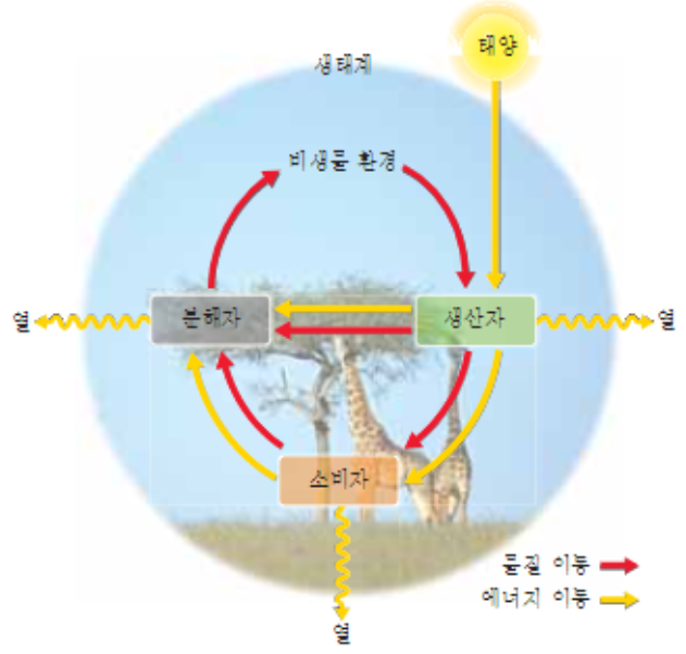  5-3. 탄소 순환