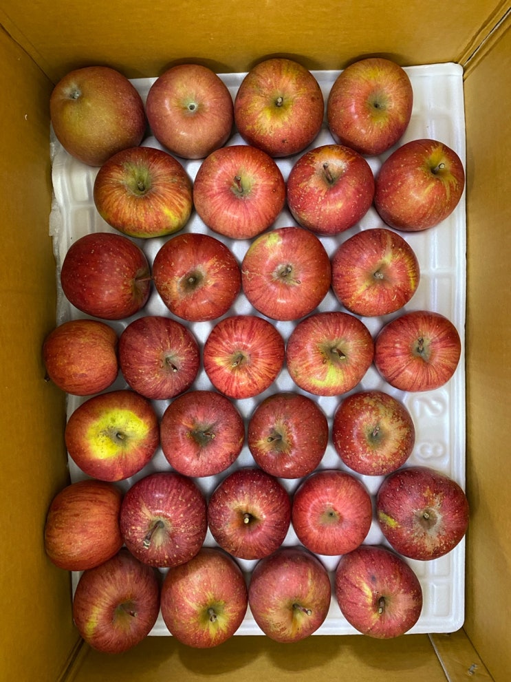 [장수 사과] 민채네 사과(껍질째 먹는 사과)