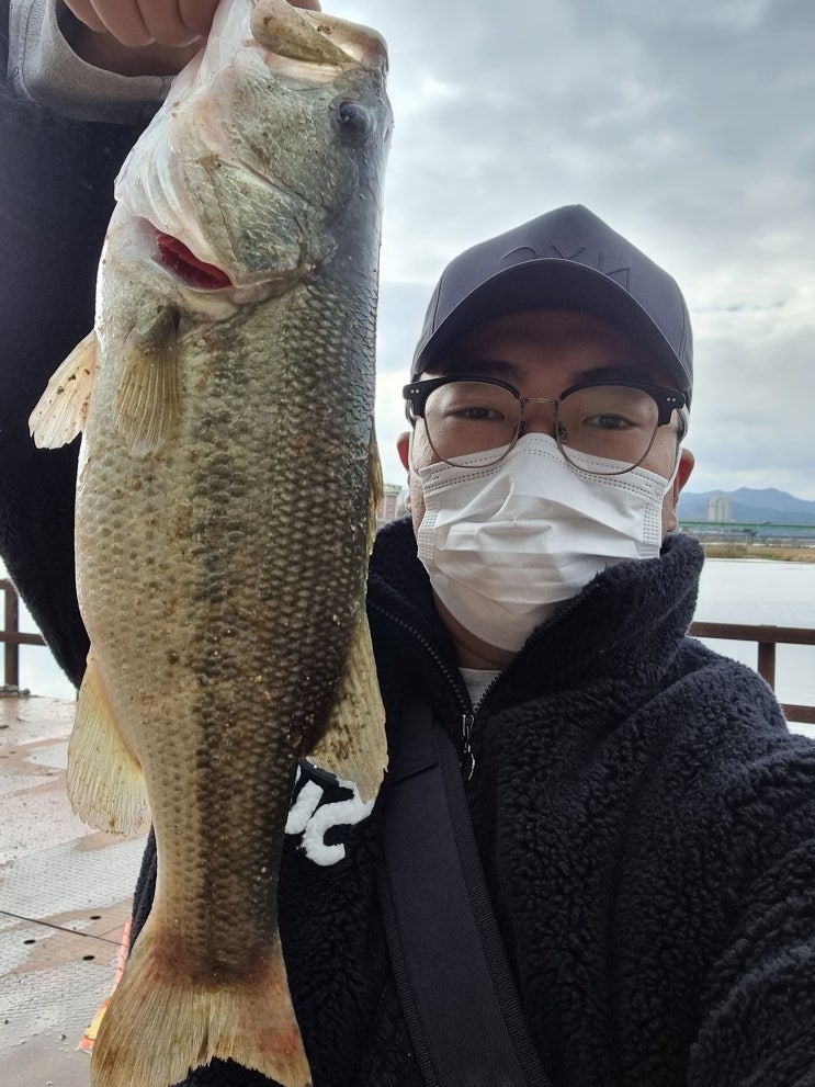  나주 덕례교 배스 낚시 / 광주 근교 배스 / 전남 배스 낚시 / 조과 12마리 / 영산강 배스 / bass