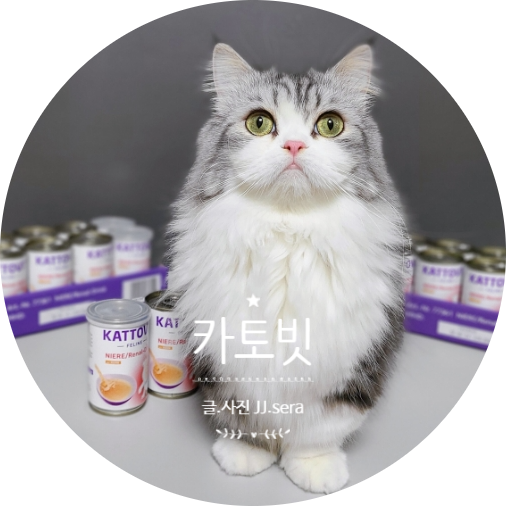  사랑하는 고양이에 신장 관리와 하부 요로계 관리는 카토빗으로 해주세요. 음수량이 확실히 늘어요.
