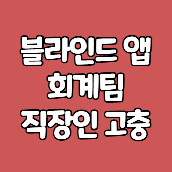  블라인드 직장인 회계팀현타