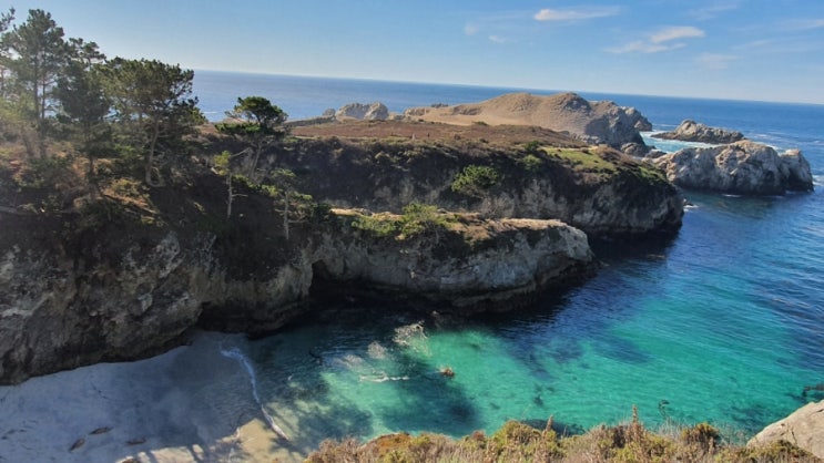 Point Lobos State Reserve(포인트 로보스 주립 자연 보호구역: 캘리포니아 카멜 시티)