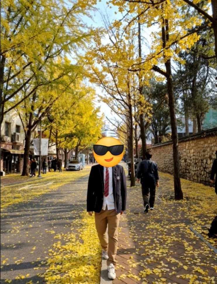  덕수궁 돌담길 정동길 교복 데이트 단풍 가득 사진 찍기 롯데월드는 이제 그만