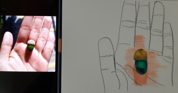  음침한 도토리