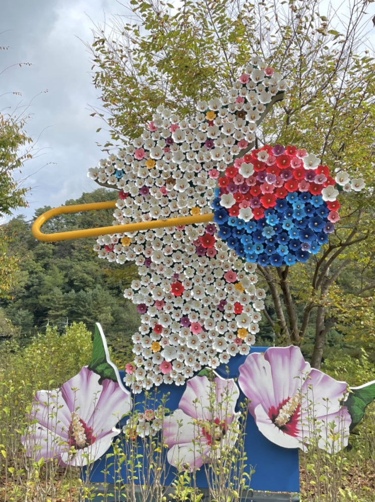  무궁화수목원 / 홍천여행 / 홍천가볼만한곳