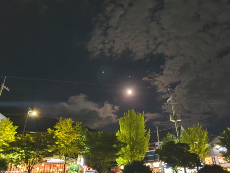  대구 수변공원 산책 가족과 함께하는 힐링 공간