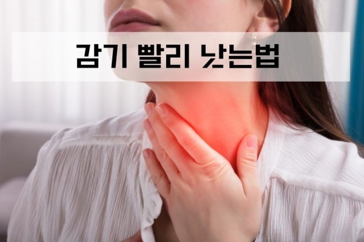  목감기, 코감기 빨리 낫는법 (초기 감기 네뷸라이저 경험담)