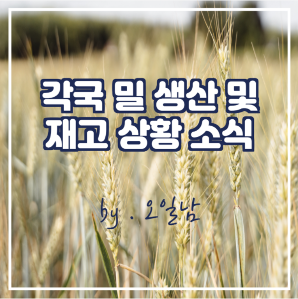  각국 밀 생산 및 재고 상황 소식