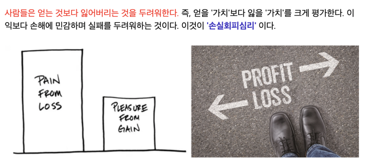  일론 머스크와 버니 샌더스의 정치