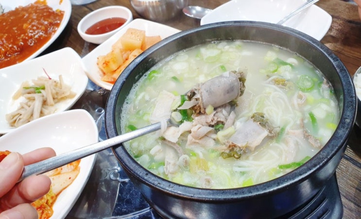  깔끔한 청주 국밥맛집 순대국밥 속리산 산채순대 내돈
