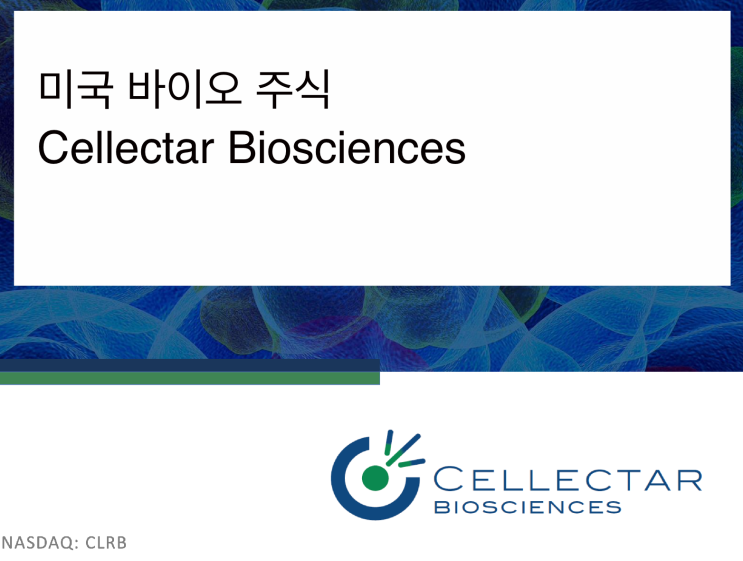[미국주식] 2021.11.15  Cellectar Biosciences (CLRB)_1st visit, PDC, Waldenstrom’s macroglobulinemia