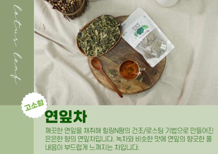  [홈카페] 연잎차(안정, 피부, 진정, 숙취해소, 피를 맑게 해주는 차)