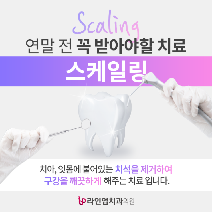  '올해가 가기 전 스케일링' 꼭 받아주세요!