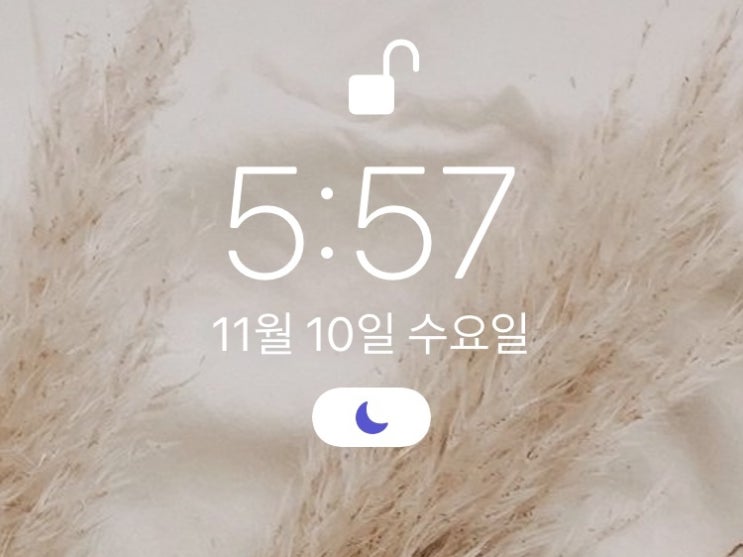  [습관만들기] 미라클 모닝 WEEK20