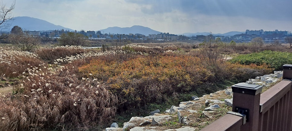 고향산천 사진 6