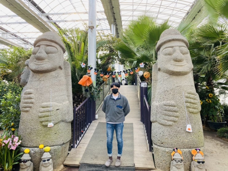  [화성 가볼만한 곳] 경기도 이색 식물원 카페 "야자수마을 카페" (+오션뷰)