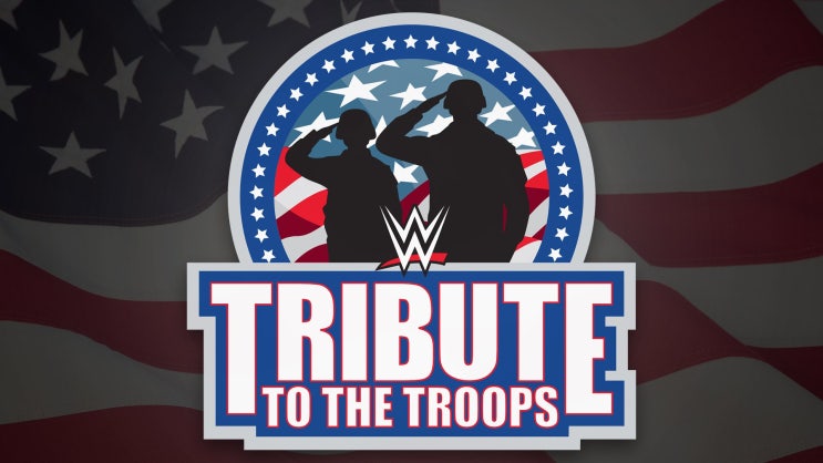  WWE 트리뷰트 투더 트룹스 (고화질 FULL경기)