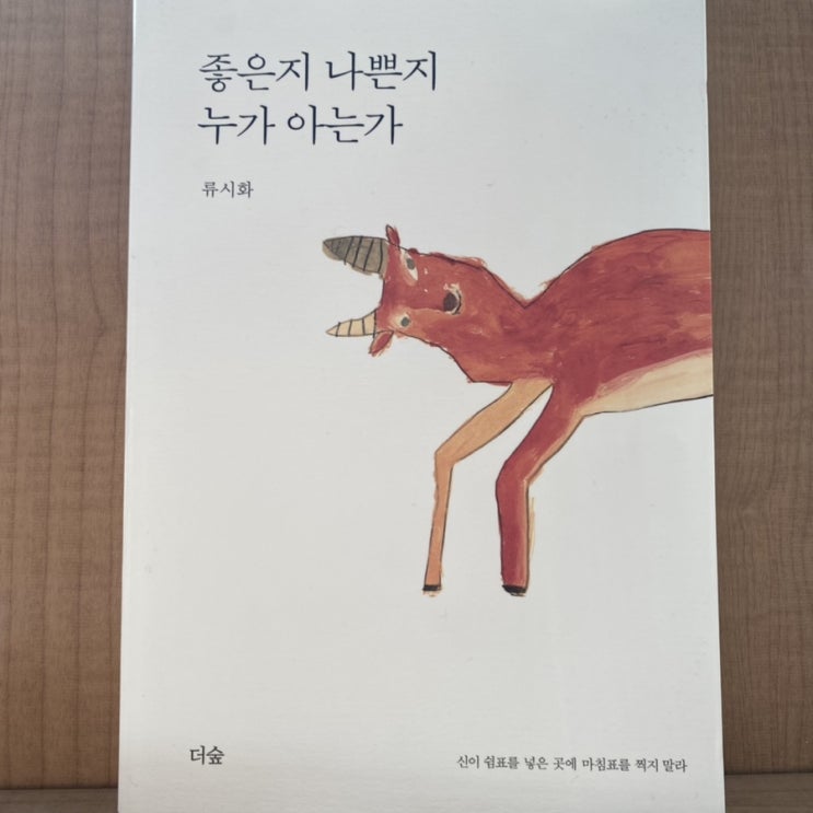  [책 글귀*서평/에세이] 좋은지 나쁜지 누가 아는가_류시화_(2)