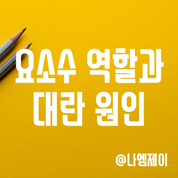 디젤 요소수 역할과 요소수 대란 원인 (요소수 안넣으면?) 디젤 요소수 역할과 요소수 대란 원인 (요소수 안넣으면?)