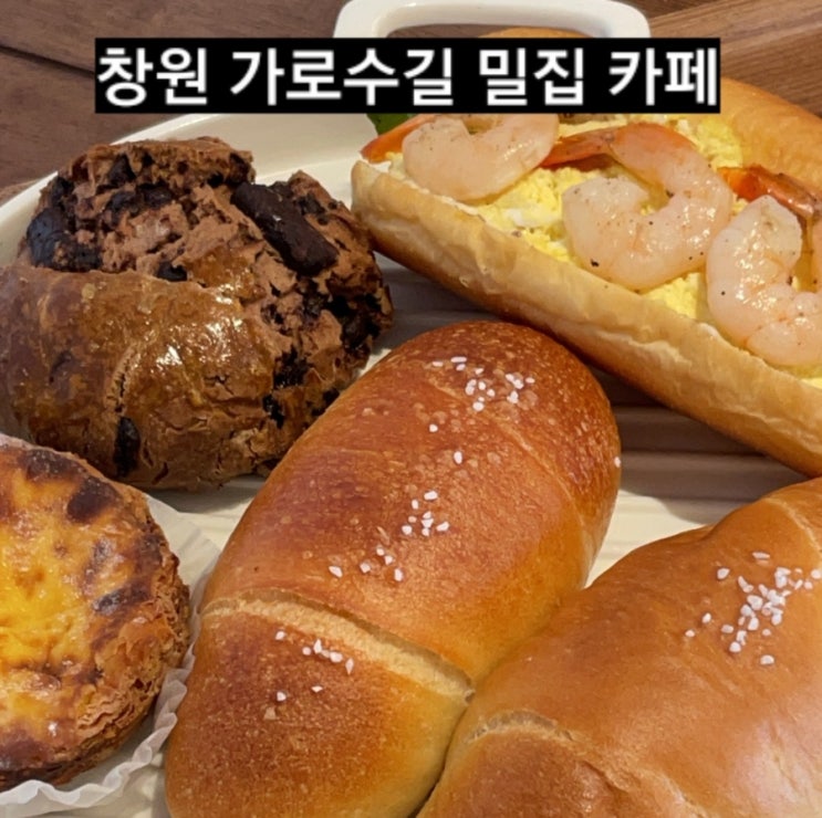 창원 가로수길 밀집 카페 베이커리 천연 발효종 빵 !