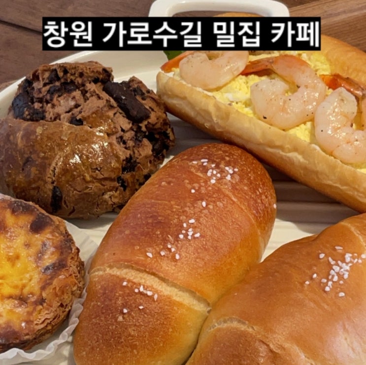  창원 가로수길 밀집 카페 베이커리 천연 발효종 빵 !