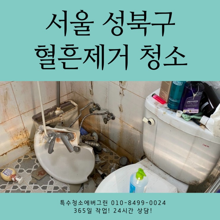 서울 성북구 특수청소 - 6평 원룸 혈흔제거 청소