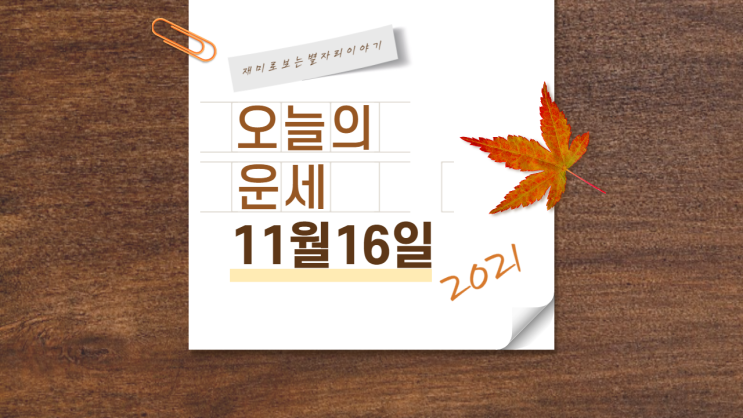  별자리 오늘의 운세 11월 16일 화요일