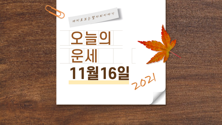 별자리 오늘의 운세 11월 16일 화요일