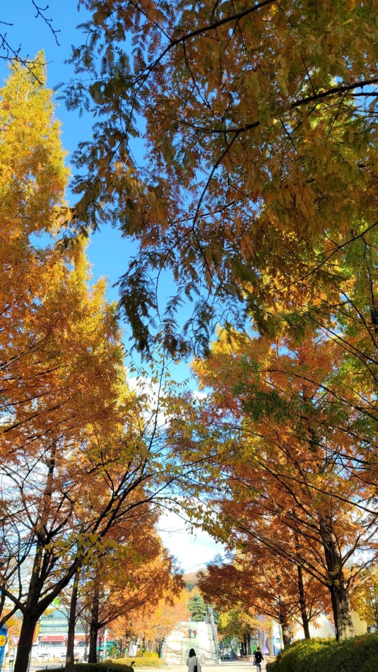  기분전환