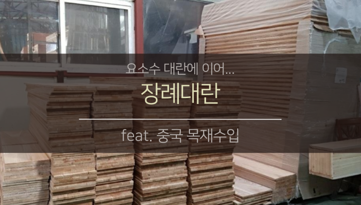  장례 대란, 요소수에 이은 타격 (feat. 중국 관제조용 목재 수입)