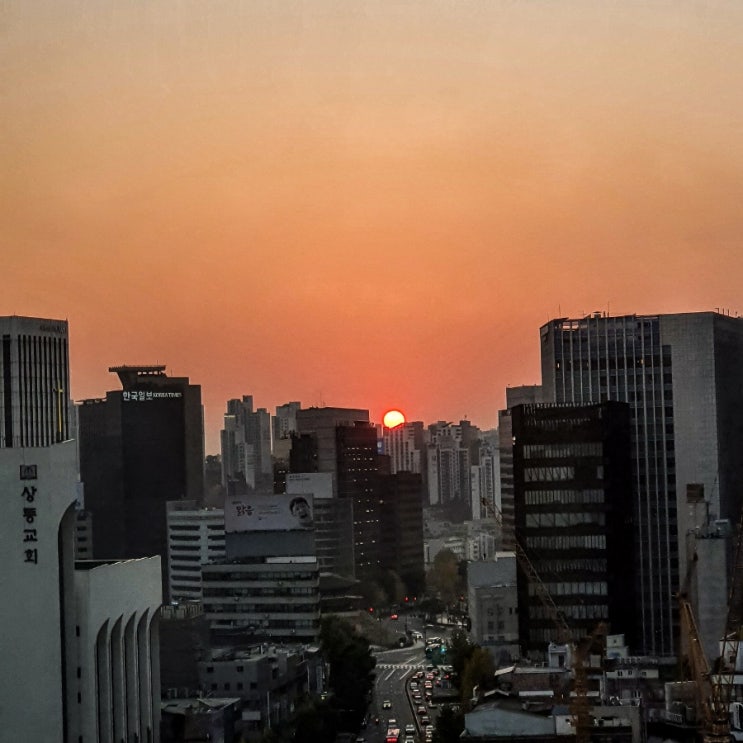  명동 알로프트 호텔, 알로프트룸 쓰리베드 1박 리뷰 (솔직리뷰)