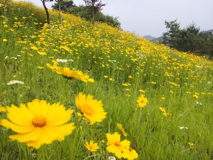 이천법무사 압류