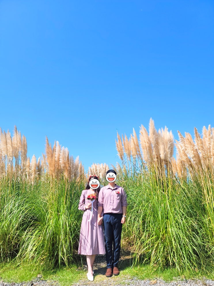  [제주도 신혼여행 5일차] 카멜리아힐/제주돌하르방밀면/바다다 카페