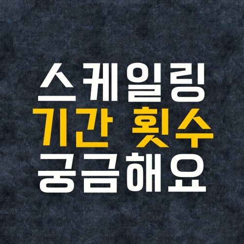  스케일링 기간 횟수 알아보아요