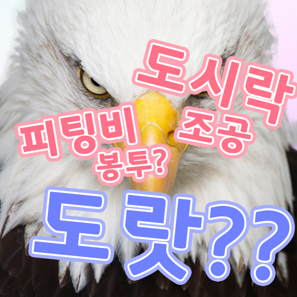  피팅비봉투? 웨딩촬영도시락? 내 돈내고 호구되는 법