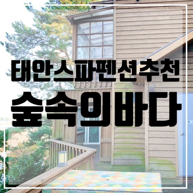  태안 가족여행 펜션 추천 <숲속의바다>/가족여행숙소/태안펜션추천/태안스파펜션