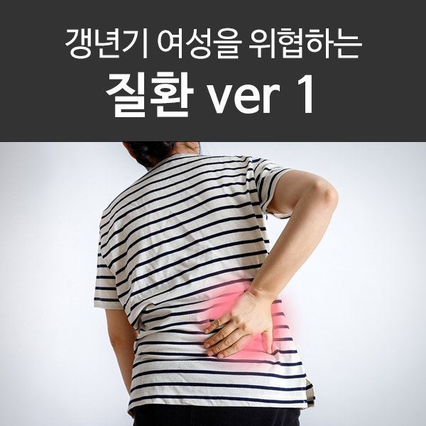  갱년기 여성을 위협하는 이 질환! (+프로기노바, 리비알정, 안젤릭정)