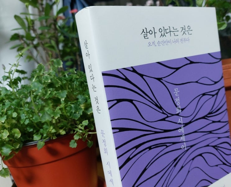 <시> 남편 살아 있다는 것은 문정희 시에세이 <시> 남편 살아 있다는 것은 문정희 시에세이