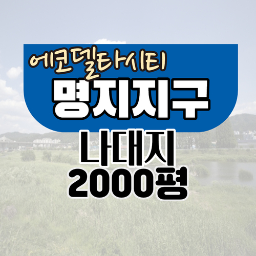  부산에코델타시티 인근 명지지구나대지, 토지 매매[1017]