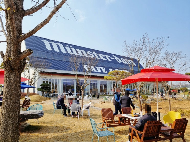  '뮌스터담' 정원이 있는 파주 카페