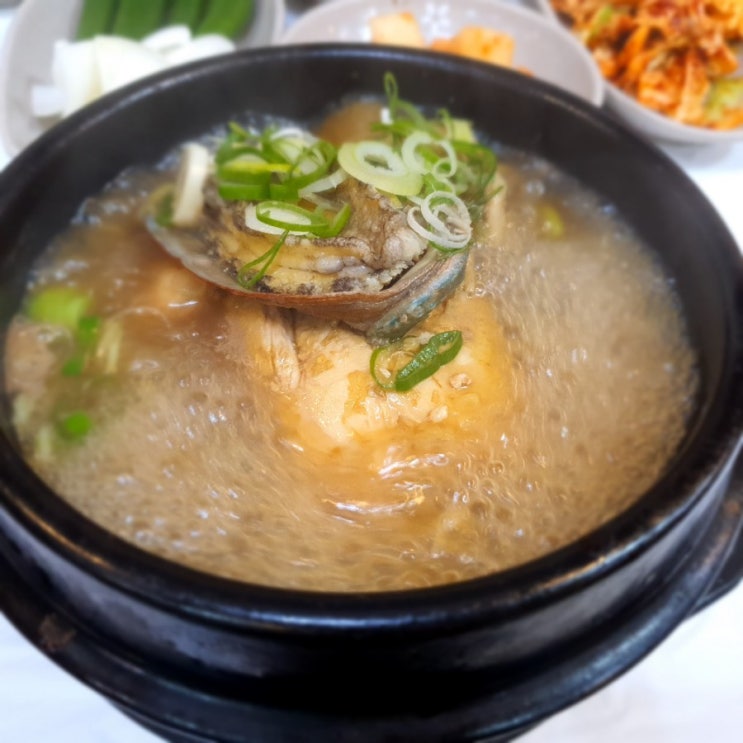  보건대 보양식 전복 상황버섯 삼계탕 정말 맛있는집