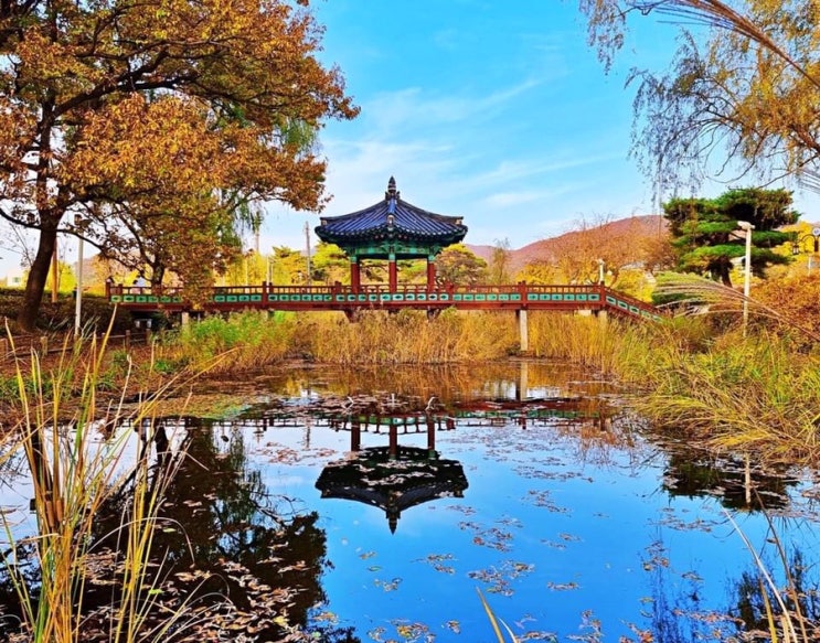 천안 가볼만한곳 무지개 빛으로 물든 삼거리 공원! | 천안시청페이스북