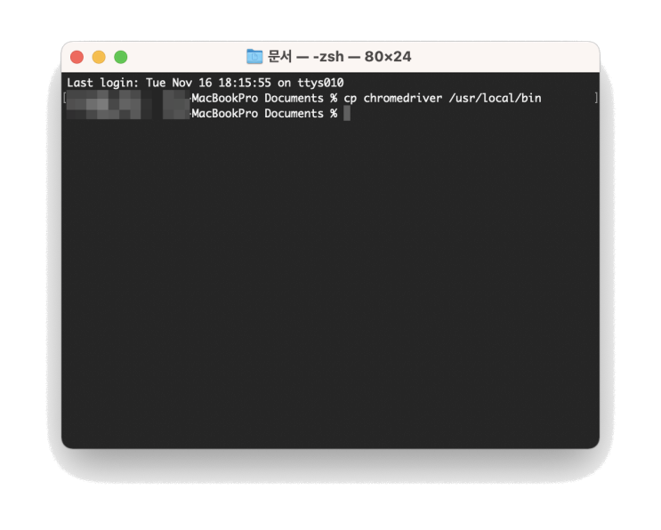  맥(Mac)에서 ChromeDriver 설정하기 (How to Including the ChromeDriver in MacOS Path)