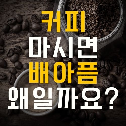  커피마시면 배아픔 왜그럴까요?