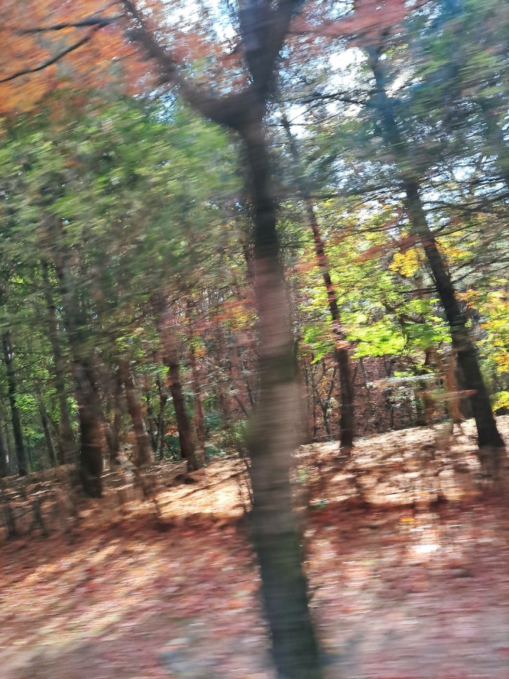  가을, 과제 그리고 의식의 흐름
