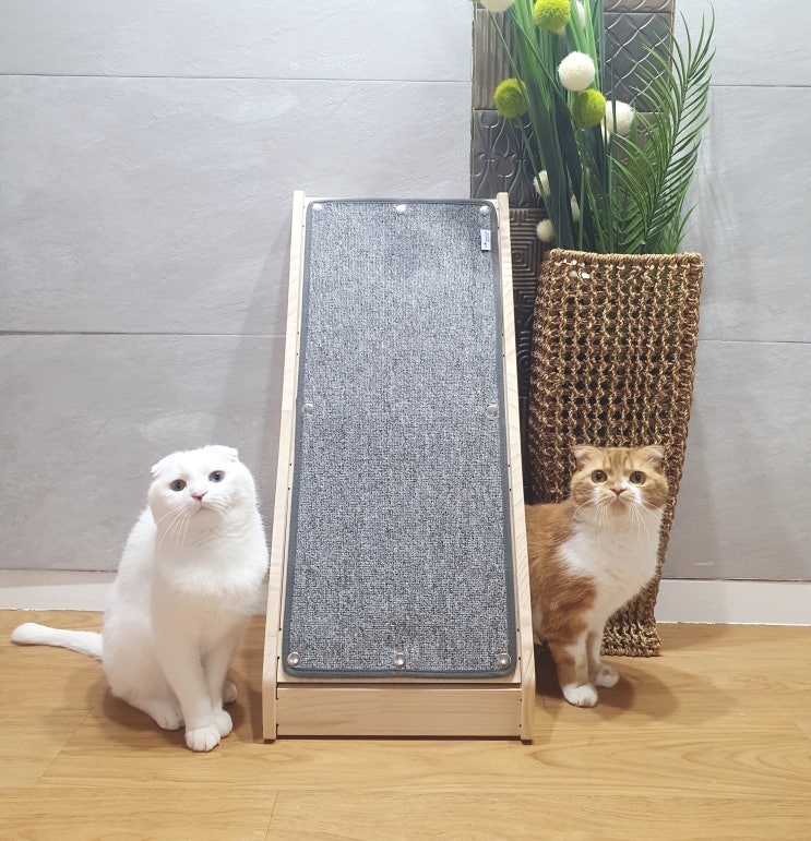  고양이 수직스크래쳐 카펫형에 하우스까지 있는 멍해묘해