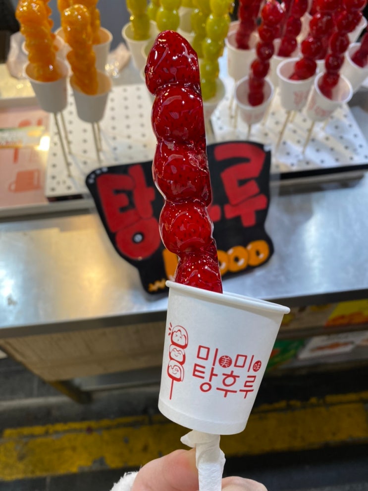 제주여행 4탄 :: 주상절리-중문생선구이-카멜리아힐-올레시장-동선제면가 제주여행 4탄 :: 주상절리-중문생선구이-카멜리아힐-올레시장-동선제면가