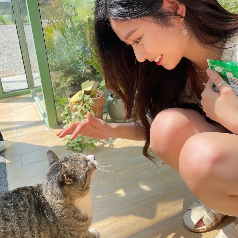 아이즈원 김민주 인스타 나무위키 비율 과사 버블 레전드 얼반웍스이엔티 하이브 2001년생 배우 가수 나이 키 164cm AB형 프로필 몸매 : 네이버 블로그 아이즈원 김민주 인스타 나무위키 비율 과사 버블 레전드 얼반웍스이엔티 하이브 2001년생 배우 가수 나이 키 164Cm Ab형 프로필 몸매 : 네이버 블로그